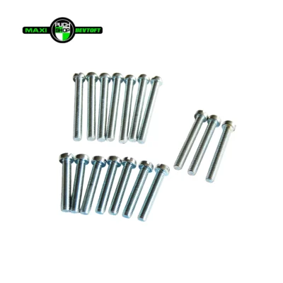 Komplet skruesæt for maxi 2 gear motor