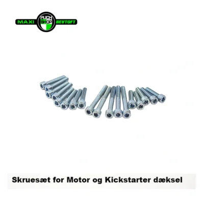 Skruesæt for Motor og Kickstarter dæksel PUCH Maxi K