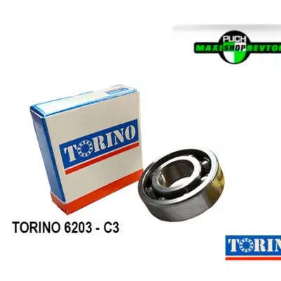 TORINO 6203 leje