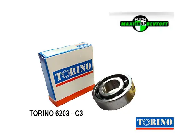 TORINO-6203-leje TORINO 6203 leje