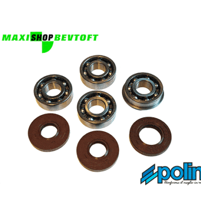 Komplet Polini leje og simmerringe til din PUCH Maxi